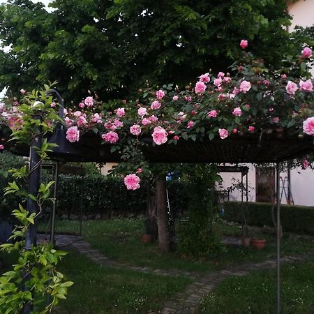 Happy Family B&B Viggianello Exterior foto