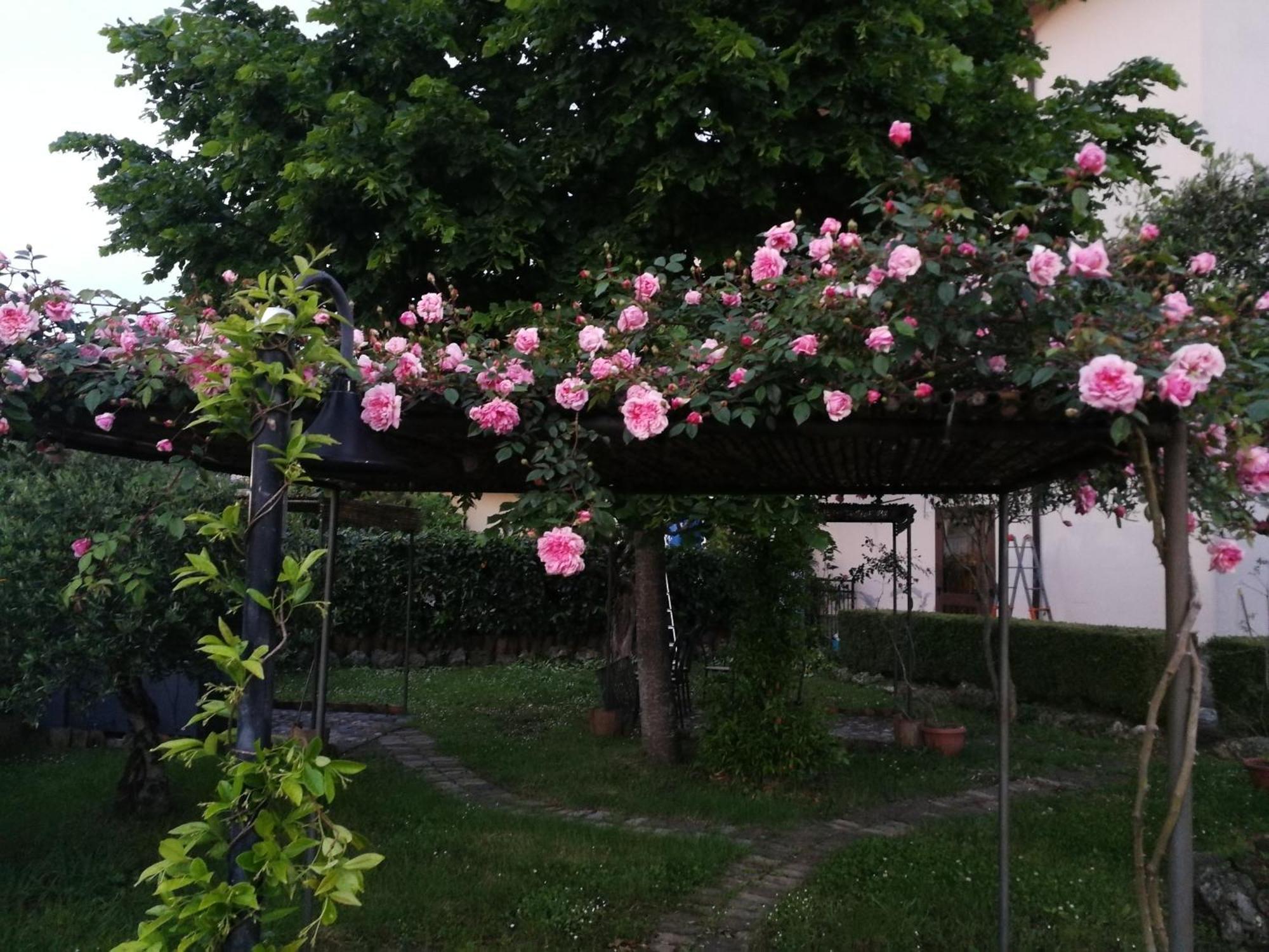 Happy Family B&B Viggianello Exterior foto